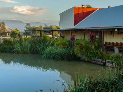 Hanging Tree Wines