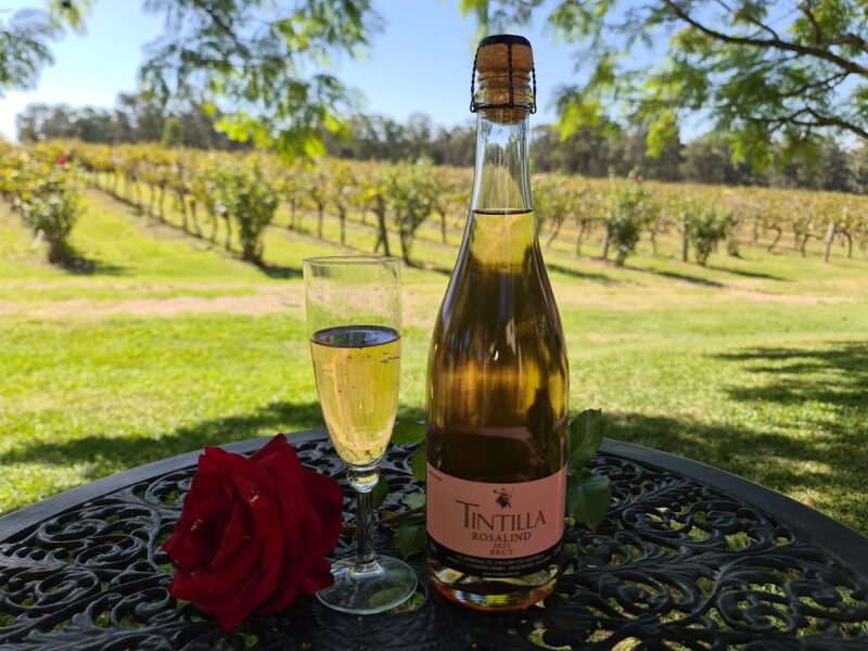 Tintilla Estate Wines