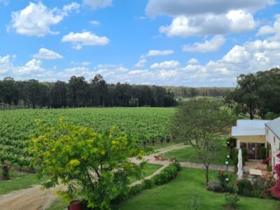 Tintilla Estate Wines