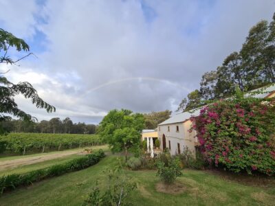 Tintilla Estate Wines