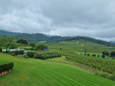 Ivanhoe Wines
