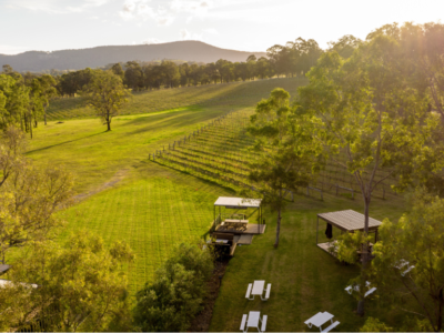 Saddler's Creek Wines