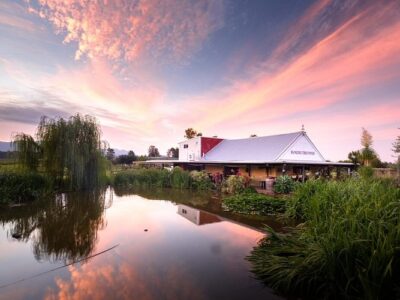 Hanging Tree Wines