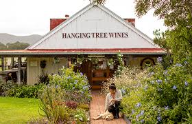 Hanging Tree Wines
