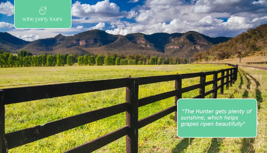 hunter-valley-has-a-warm-climate