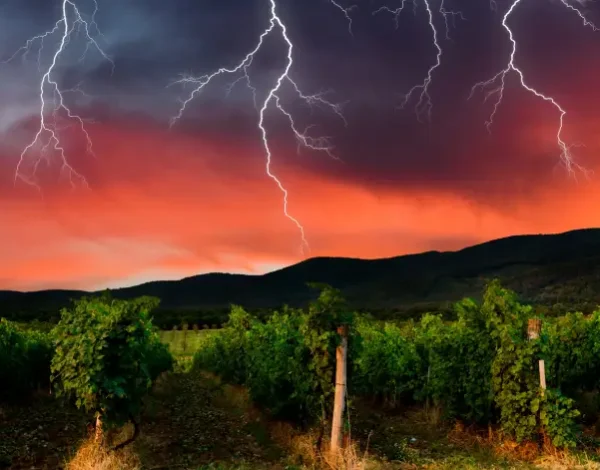 lightning-strikes-vineyard-hunter-valley-climate