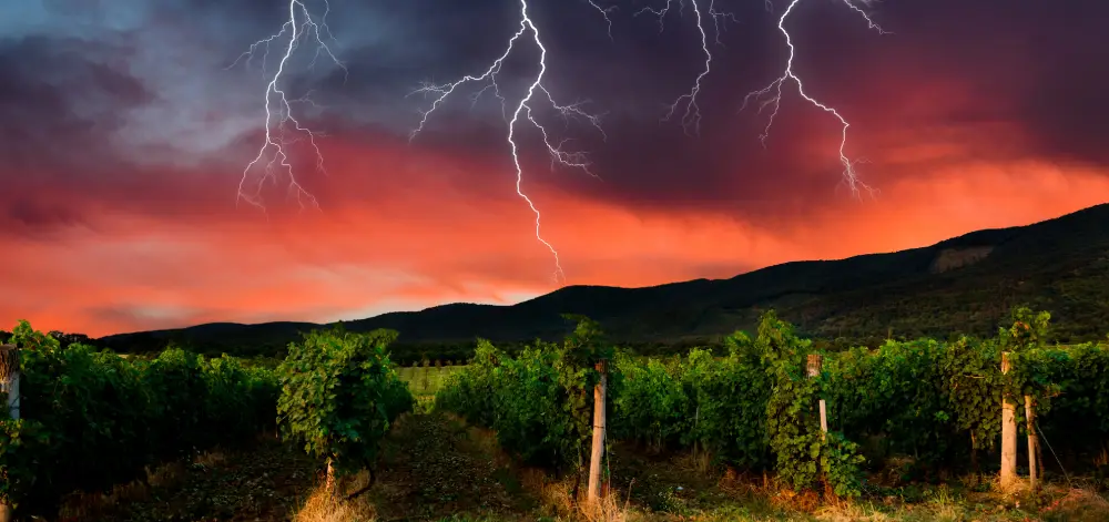 lightning-strikes-vineyard-hunter-valley-climate