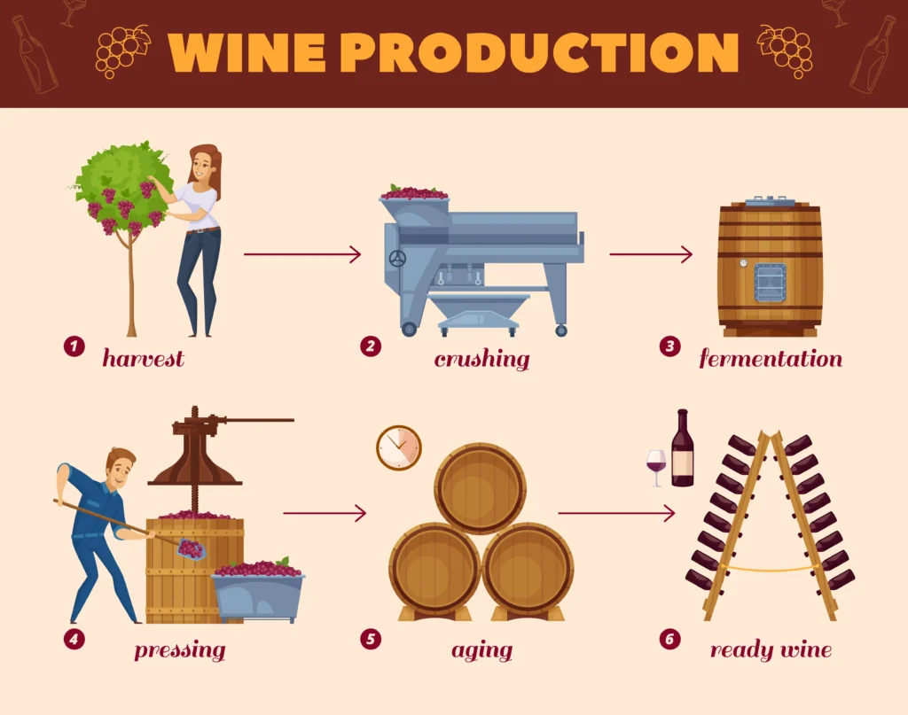 wine-making-process